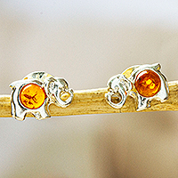 Amber stud earrings, 'Elephant's Warmth' - 925 Sterling Silver and Amber Elephant Stud Earrings