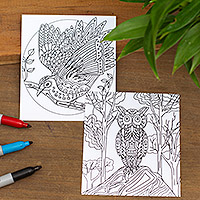 Coloring postcards, 'Bird Enchantment' (Pair) - Mexican Bird Themed Coloring Postcards (Pair)
