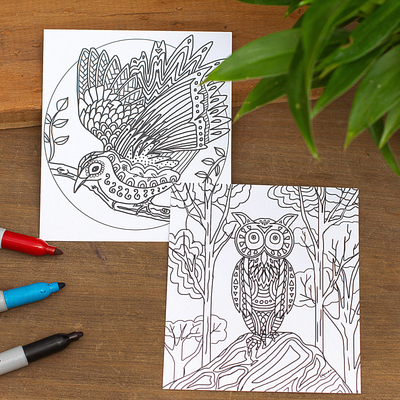 Coloring postcards, 'Bird Enchantment' (Pair) - Mexican Bird Themed Coloring Postcards (Pair)