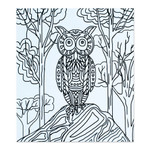 Coloring postcards, 'Bird Enchantment' (Pair) - Mexican Bird Themed Coloring Postcards (Pair)