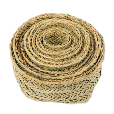 Natural fiber nesting baskets, 'Naturally Convenient' (set of 10) - Set of 10 Natural Fiber Braided Baskets Crafted in Mexico