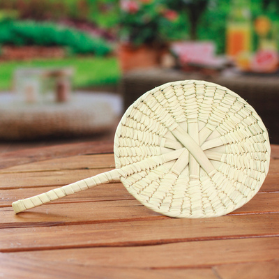 Natural fiber hand fan, 'Breezy Style' - Decorative & Utilitarian Palm Fiber Fan Hand-Woven in Mexico