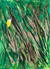'Great Kiskadee in Grassland' - Acrylgemälde eines großen Kiskadee im Grasland