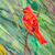 'Red Bird in Green Grassland' - Acrílico y Tintes sobre Papel Pintura de Pájaro Rojo en Pastizales