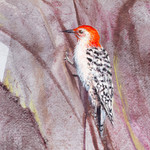 'Woodpecker in Eucalyptus Tree' - Acrylic and Dyes on Paper Painting of A Woodpecker in A Tree