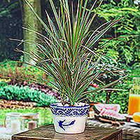 Keramik-Blumentopf „Lapis Doves“ – Keramik-Pflanzgefäß mit Taubenmotiv, handgefertigt im Talavera-Stil