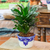 Ceramic flower pot, 'Puebla Bloom' - Talavera-Style Ceramic Planter with Leaf and Flower Motifs