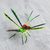 Curated gift set, 'Alebrije Nature' - Hand-Painted Copal Wood Alebrije Curated Gift Set (image 2d) thumbail