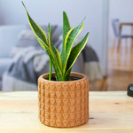 Ceramic flower pot, 'Portal to the Beige Afterlife' - Handcrafted Skull-Patterned Round Beige Ceramic Flower Pot