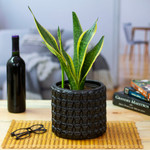 Ceramic flower pot, 'Portal to the Dark Afterlife' - Handcrafted Skull-Patterned Round Black Ceramic Flower Pot