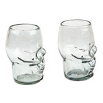 Handblown recycled glass tumblers, 'Mexican Skull' (pair) - Pair of Handblown Recycled Glass Tumblers with Skull Motif