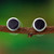 Wood-accented sterling silver stud earrings, 'Freckly Forest' - Polished Wood-Accented Round Sterling Silver Stud Earrings