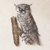 Iron wall adornment, 'Curious Owl' - Unique Steel Bird Wall Art (image 2) thumbail