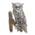 Iron wall adornment, 'Curious Owl' - Unique Steel Bird Wall Art thumbail