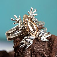 Gold accented wrap ring, 'Rain Frog'