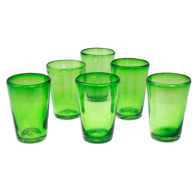 6 lime water glasses