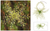 Beaded choker, 'Green Coral Blossom' - Beaded choker (image 2) thumbail