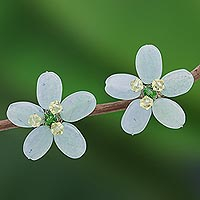 Sterling silver button earrings, Cool Green Flower