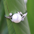 White gold plated cultured pearl solitaire ring, 'Budding Beauty' - White Gold Plated Cultured Pearl Ring thumbail