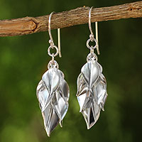 Sterling silver cluster earrings, 'Silver Leaves' - Hand Crafted Sterling Silver Dangle Earrings