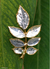 Natural rose leaves brooch pin, 'Silver Leaf' - Natural rose leaves brooch pin