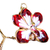 Natural orchid flower necklace, 'Timeless Dancer' - Fair Trade Gold Plated Natural Orchid Necklace (image 2a) thumbail