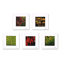 'Patterns of Life' (set of 5) - Set of 5 Thai Nature Theme Color Photographs