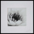 'Lotus Dreams' - Buddha's Favorite Flower Black and White Lotus Photograph