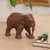 Teak sculpture, 'Purposeful Elephant' - Teak sculpture