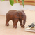 Teak sculpture, 'Elephant Trek' - Hand Carved Teak Wood Sculpture thumbail