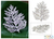 Natural leaf silver plated brooch pin pendant, 'Cypress Honor' - Fine Silver Plated Leaf Brooch Pin (image 2) thumbail