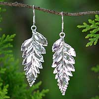 Natural leaf silver plated drop earrings, 'Fern Love'