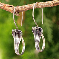 Sterling silver drop earrings, 'Cobra Guardian' - Silver Hanging Serpent Earrings