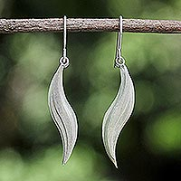 Sterling silver dangle earrings, 'Moonlit River'