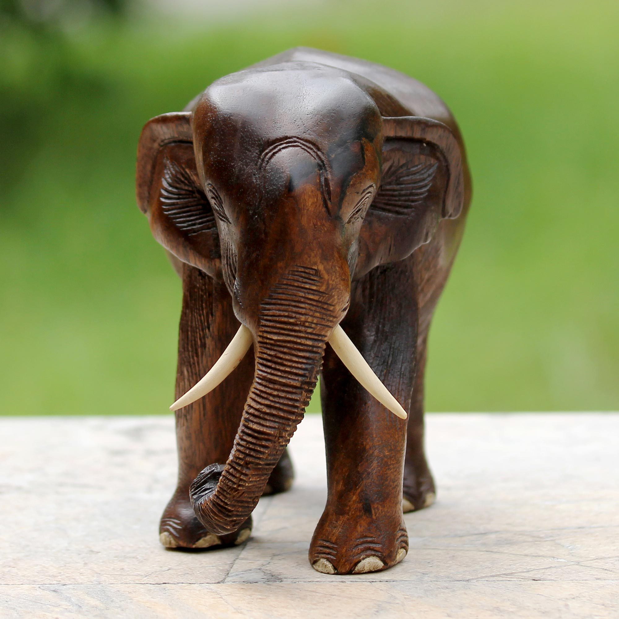 Artisan Carved Raintree Wood Sculpture Gentle Thai Elephant NOVICA