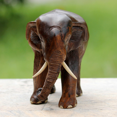 Wood sculpture, 'Gentle Thai Elephant' - Artisan Carved Rain Tree Wood Sculpture