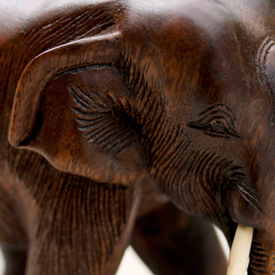 Wood sculpture, 'Gentle Thai Elephant' - Artisan Carved Raintree Wood Sculpture