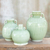 Celadon ceramic vases, 'Sawankhalok Meadows' (set of 3) - Celadon Ceramic Vases (Set of 3)