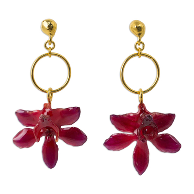 Natural orchid flower earrings, 'Spring Celebration' - Thai Natural Flower Dangle Earrings