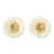 Natural flower earrings, 'White Aster' - Natural Flower Button Earrings