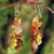 Tiger's eye and carnelian cluster earrings, 'Thai Autumn' - Hand Crafted Tiger's Eye and Quartz Cluster Earrings (image 2) thumbail