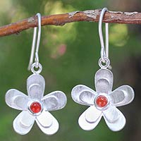 Karneol-Blütenohrringe, „Sonnenbeschienene Frangipanis“ – handgefertigte Ohrhänger aus Sterlingsilber und Karneol