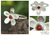 Karneol-Blumenring - Handgefertigter floraler Cocktailring aus Sterlingsilber und Karneol