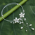 Cultured pearl choker, 'Precious Blossoms' - Pearl Choker Necklace (image 2b) thumbail