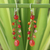 Carnelian dangle earrings, 'Thai Sun' - Handcrafted Beaded Carnelian Earrings
