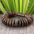 Coconut shell and wood stretch bracelet, 'Nature's Secret' - Handcrafted Coconut Shell Stretch Bracelet (image 2) thumbail