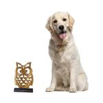 Wood sculpture, 'Adorable Owl' - Hand-carved Wood Sculpture