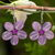Dangle earrings, 'Lilac Chang Mai Flower' - Handmade Purple Quartz Flower Earrings (image 2) thumbail
