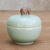 Tarro de cerámica celadón - Tarro y tapa de cerámica Thai Celadon