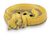 Ceramic soap dish, 'Yellow Napping Kitty' - Ceramic Soap Dish Artisan Crafted in Thailand (image 2a) thumbail